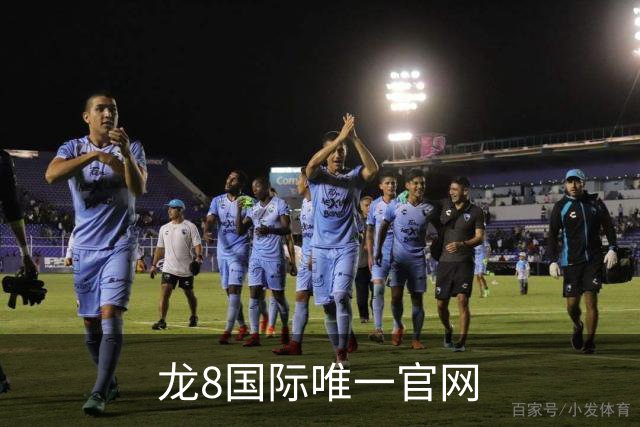 龙8国际唯一官网企业介绍